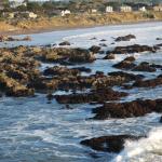 Cambria_0181 (November 05, 2011)